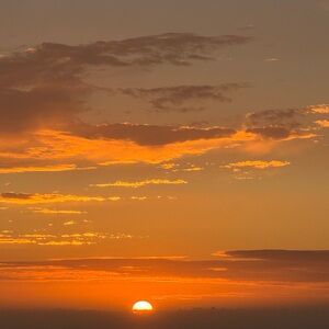 Meet your Posher, Priyanka